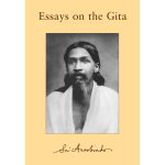 EssaysOnTheGita