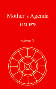 Mother's Agenda 13